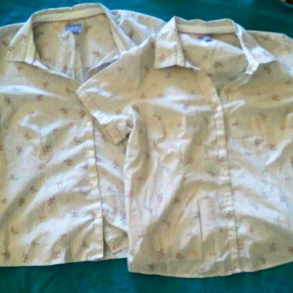 Button down short sleeve